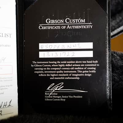 Gibson ES 335 Dot Custom - Memphis image 18
