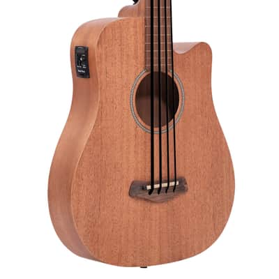 Gold Tone M-Bass25FL 25-Inch Scale Fretless 4-String Acoustic-Electric MicroBass with Padded Gig Bag image 1