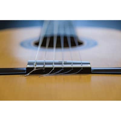 USED Yamaha G-231 IIM natural image 10