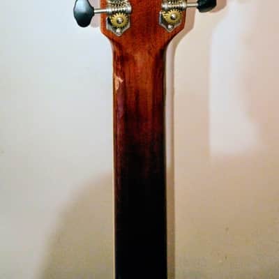 Fender Paramount PM-1 Deluxe Natural 2016 - Natural image 13