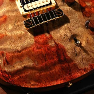 Paul Reed Smith (PRS) 2010 Private Stock #2736 Custom 22 Chambered Natural [161868] (06/16) image 3