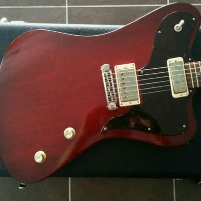 Echopark Ghetto Bird 2016 Case Study 2016 w/OHSC New Condition image 4
