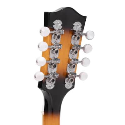 Gold Tone GM-50+ A-Style Mandolin with Pickup and Bag image 5