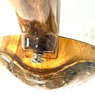 Turtle Shell Tenor Ukulele image 4