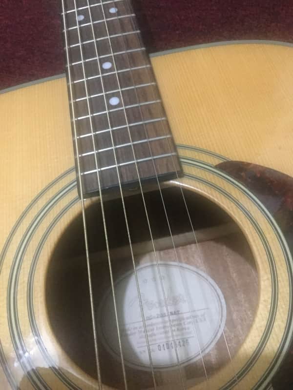 Fender DG -20 S NAT Guitar/w original Case- Korea made | Reverb