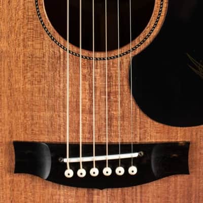 MATON EBW808C w/Case image 3