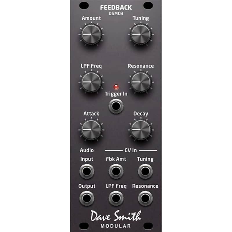Dave Smith Instruments DSM03 Feedback Module image 1