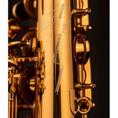 Selmer Signature DGG alto saxophone image 3
