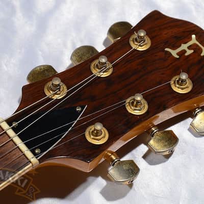 Fernandes Mg 80 X image 8