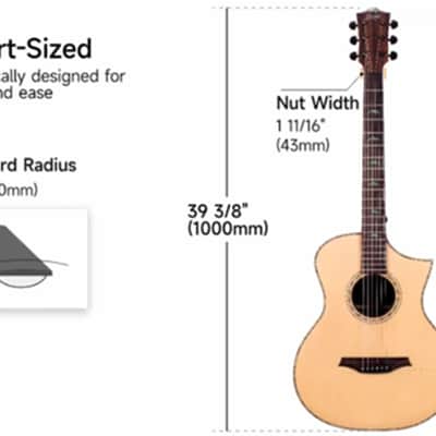 Bromo BAR 5 CE All-Solid Cut-A-Way Acoustic image 3