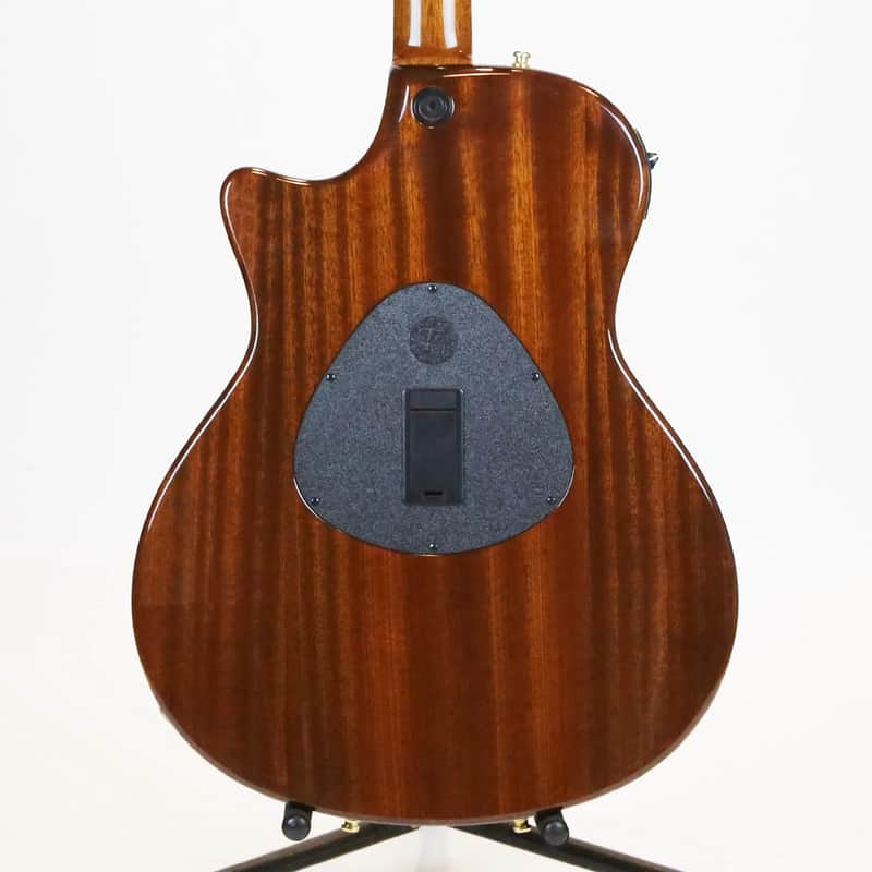 Taylor T5C1-12 Custom Maple 12-String image 3