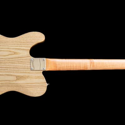 Handmade American Exotic Guitars TX Model, T-Style, Sassafras Body, Pau Ferro FB, Made in U.S.A. image 3