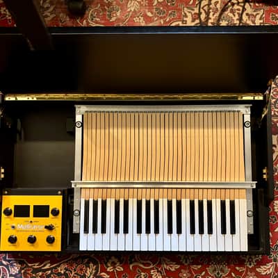 Mellotron M4000D – Factory Custom Black & Gold – Sound Card 02 + Original Box image 2