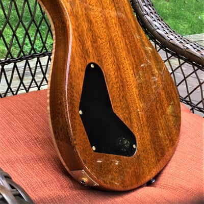 Paul Reed Smith PRS Private Stock DGT WildWood Guitars Limited Run #5 of 20 See Video image 8