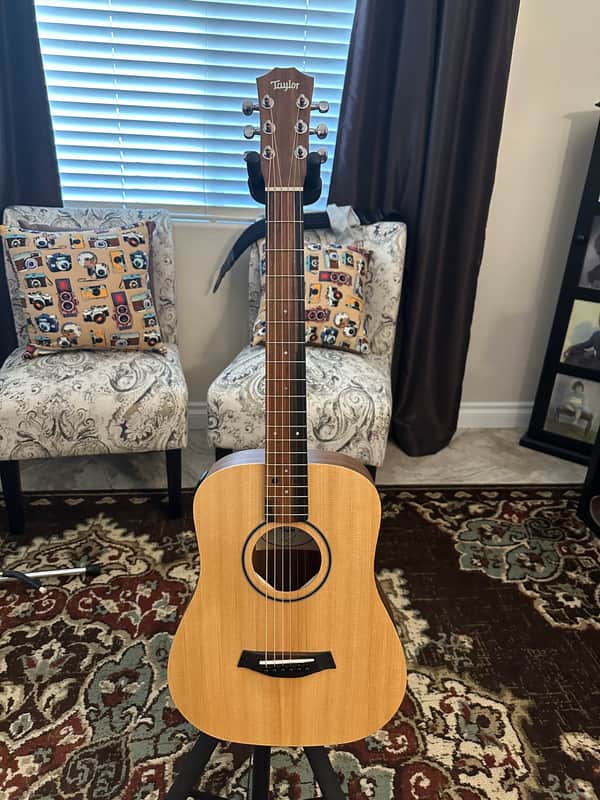 Taylor BT1e - Spruce image 1