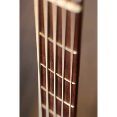 F Bass BN5 2007 - Antique Brown Burst Satin image 8