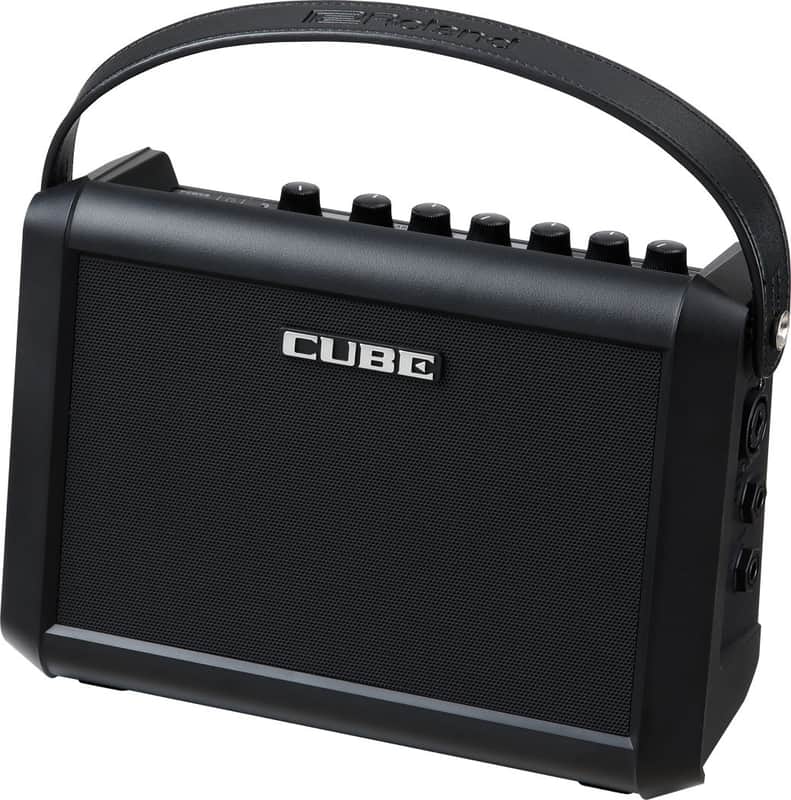 Roland CUBE Street MINI Multi-Instrument Battery Amplifier image 1