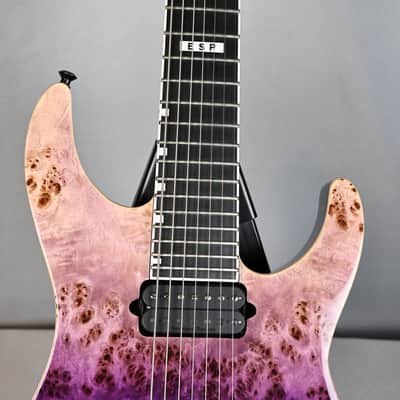 SIGNED BY TAPROOT! ESP E-II M-II 7 NT Seven String Guitar image 2
