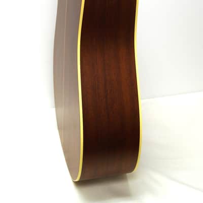 Takamine EAN10C Pro Series Dreadnought Cutaway Acoustic-Electric Guitar + Case image 6