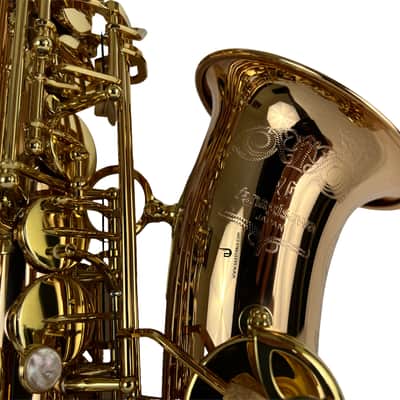 Yanagisawa AWO20UL Unlacquered Bronze Elite Alto Saxophone New In Box! image 6