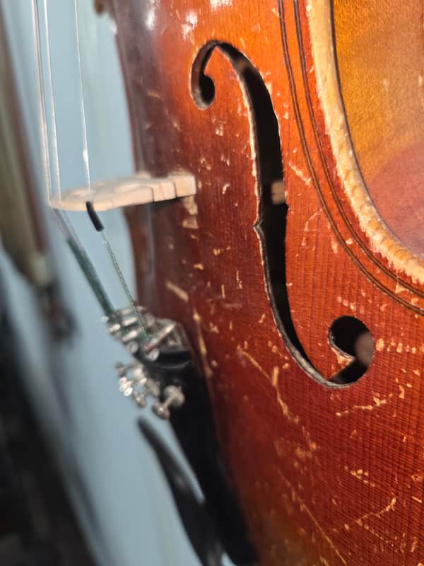 Maggini Violin Early 1900s image 1
