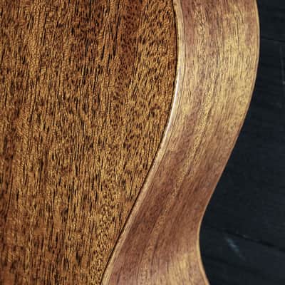 Santa Cruz 000 12-Fret Mahogany / Adirondack image 8