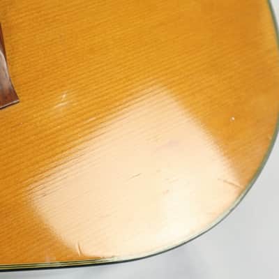 Vintage Tokai Gakki Japan DM12-5 12-string Acoustic Guitar Project image 10
