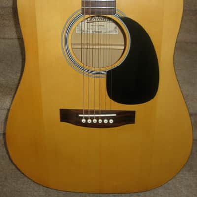 Aria Ariana Electric-Acoustic Dreadnought Guitar w/ Gigbag image 2