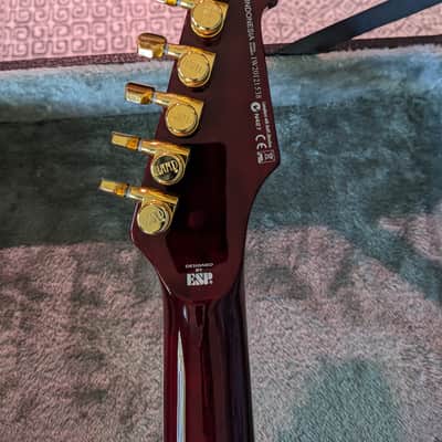 ESP LTD Phoenix-1000 See Thru Black Cherry image 8
