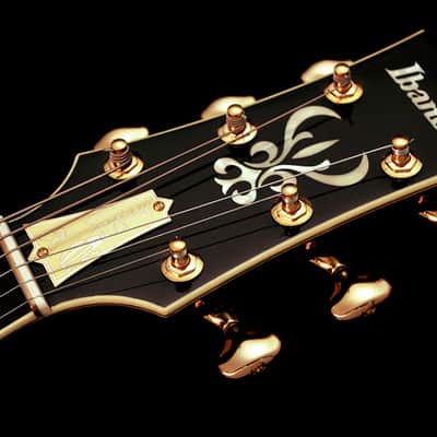 Ibanez John Scofield Signature JSM100 Vintage Burst image 8