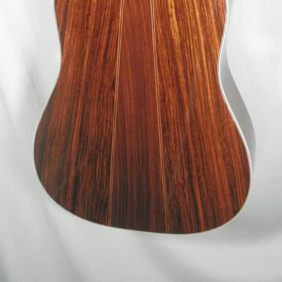 A LoPrinzi LR-20 Dreadnought Acoustic Guitar with case used image 16