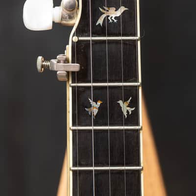 Wildwood Troubadour 5-String Open-Back Banjo Circa 1973 - Gloss image 22