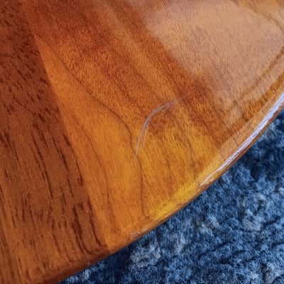 Epiphone Spotlight Nouveau 1988 - 1989 - Trans Amber image 11