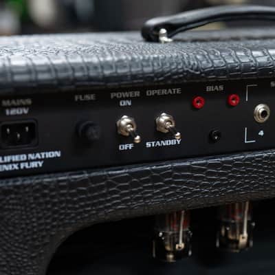 Amplified Nation Phoenix Fury 50W Head & 112 Cab – Black Croc image 7