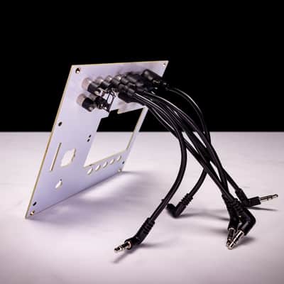 NTS-2 Eurorack Conversion Faceplate Kit for Korg Nu:Tekt digital Oscilloscope (White) image 6