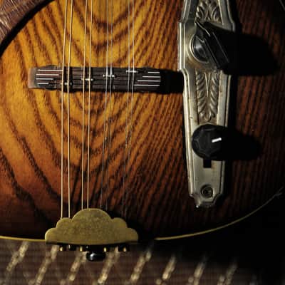 Postal Handmade Meteor Electric Mandolin Antique Burst F Hole - Vintage 60's Pickup Grover Tuners image 3
