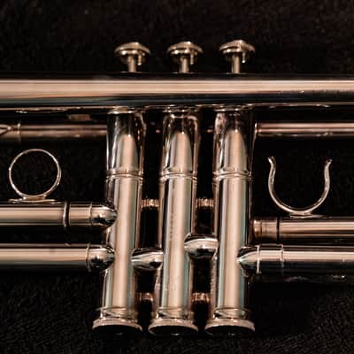 PHIL DRISCOLL MIGHTY HORN Bb trumpet by HOLTON (Limited Edition) image 11