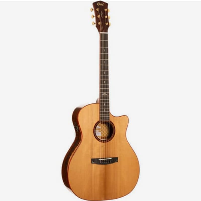 Cort Gold-A10 Cocobolo Grand Auditorium Acoustic/Electric Guitar Includes Hard Case, B-Stock image 1