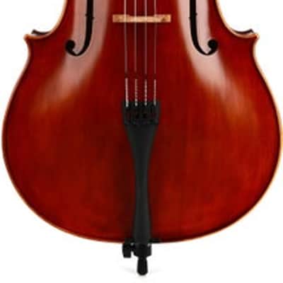 Howard Core DR10VC Dragon Cello - Medium/Red-brown Varnish 4/4 Size image 2