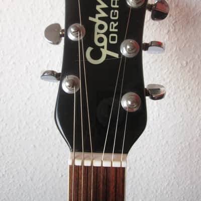 Godwin Organ Guitorgan 1976 black image 3