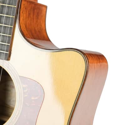 Taylor 510-CE-L9 Owned by Deryck Whibley Of Sum 41 image 3