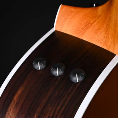 Taylor 214ce Special Edition Honeyburst w/ Torrefied Spruce Top & Indian Rosewood Back and Sides Acoustic/ Electric- Honey Sunburst 2026 (2202056445) image 8
