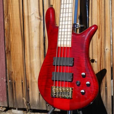 Spector Euro 5 LX Maple Fingerboard – Black Cherry Gloss 5-String Electric Bass Guitar image 5