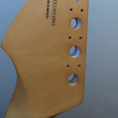 Fender Player Plus Stratocaster Neck 2023 - Pau Ferro image 3