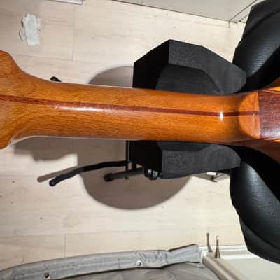 Vintage Bowlback 12 String Mandolin - Mandriola / Trichord image 17