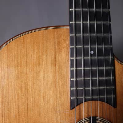Mauro Freschi -Selmer/Maccaferri Gypsy Jazz Guitar image 4