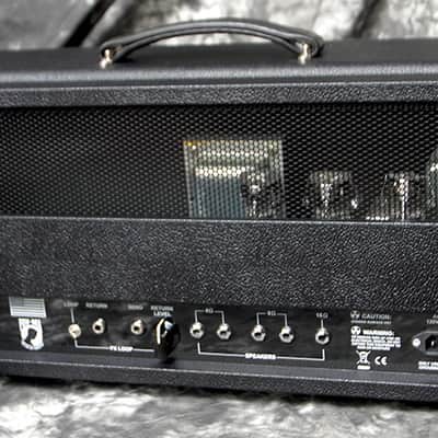 Cameron Amplification  Old Bitch image 2