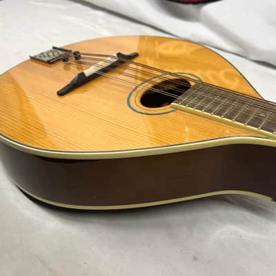 Trinity College TM-325 Mandolin image 16