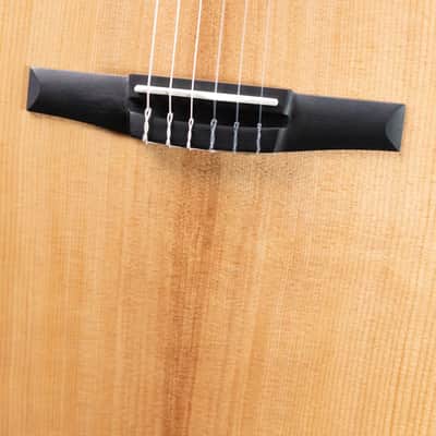 Taylor 214ce-N Nylon Grand Auditorium Acoustic/Electric Guitar with Gig Bag image 13