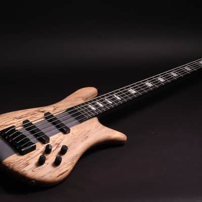 Spector CST limited Edition 2026 - Spalted Maple image 6